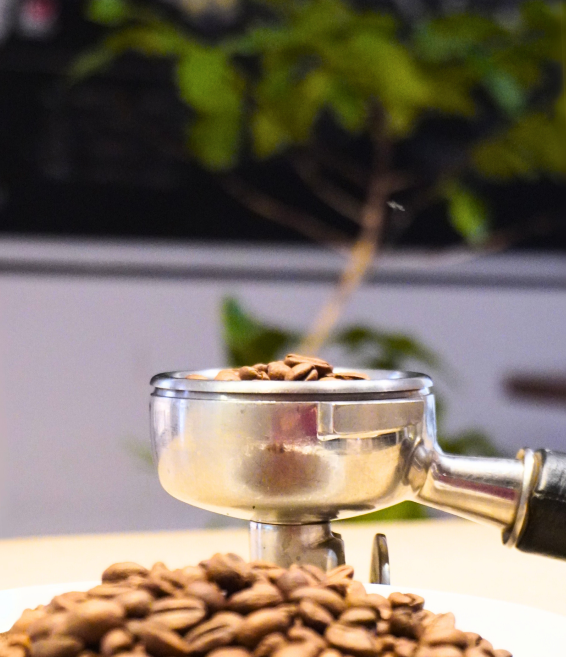 Caffetteria Specialty a Santarcangelo di Romagna